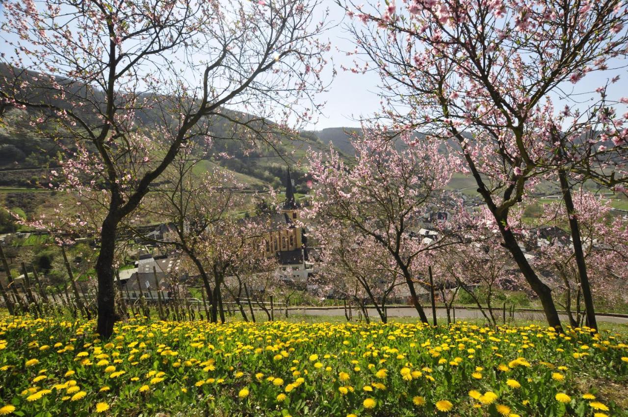 Gaestehaus Sehl Senheim Dış mekan fotoğraf