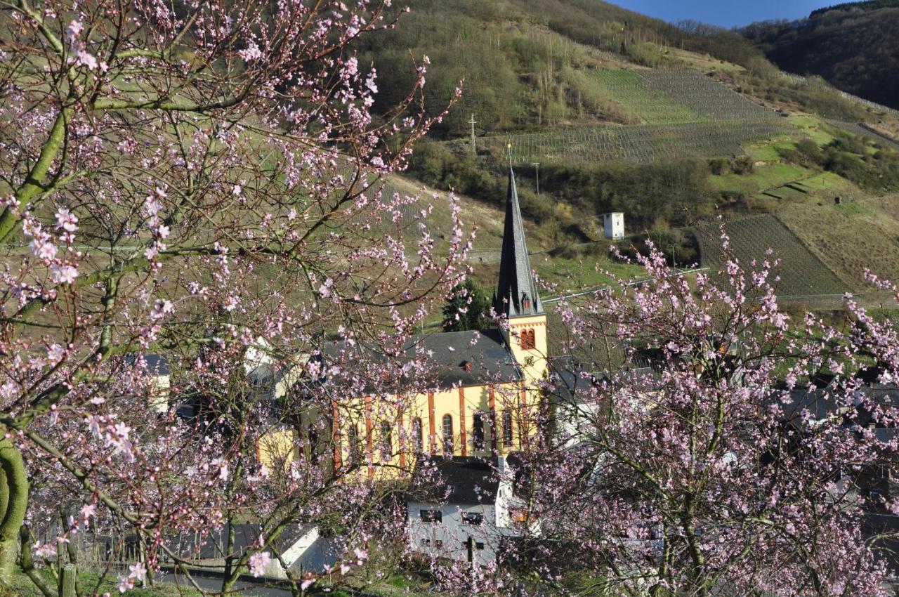 Gaestehaus Sehl Senheim Dış mekan fotoğraf